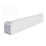 small_white_case.png